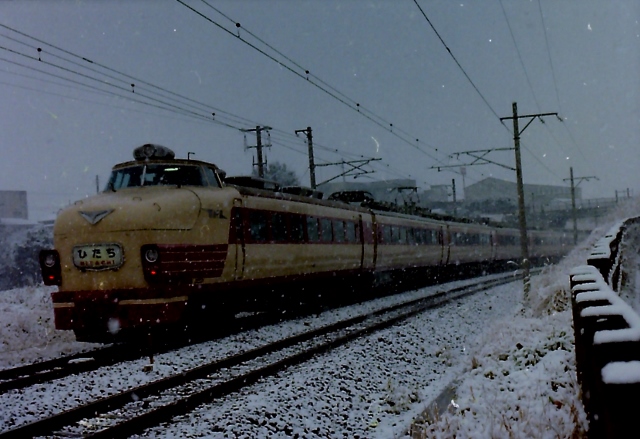 クハ 481-116 番号板掘り字 JR西日本221系電車 クハ221-27 大和小泉駅 鉄道フォト・写真 by